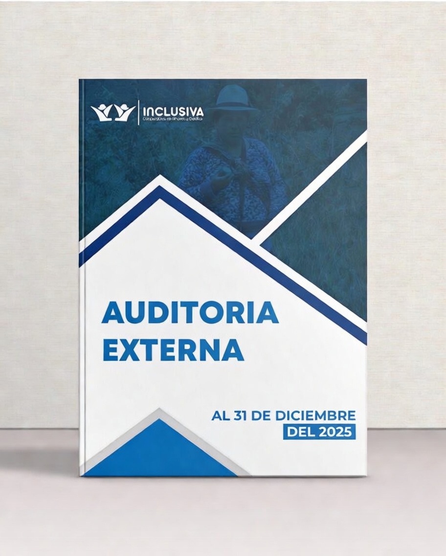auditoria externa 2020