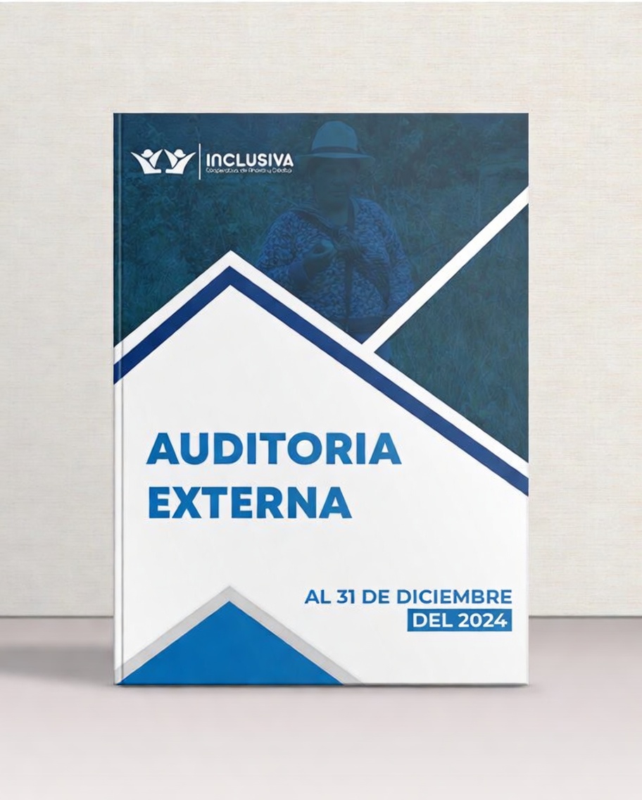 auditoria externa 2020